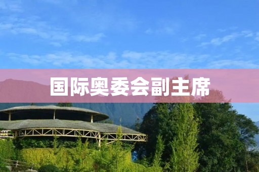 国际奥委会副主席:为奥林匹克运动发展贡献力量 国际奥委会副主席:为奥林匹克运动发展贡献力量
