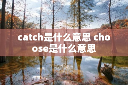 catch是什么意思 choose是什么意思