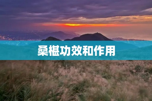 桑椹功效和作用：开启健康生活的美味果实
