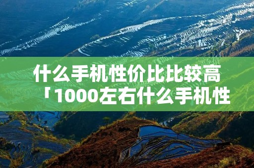什么手机性价比比较高「1000左右什么手机性价比比较高」