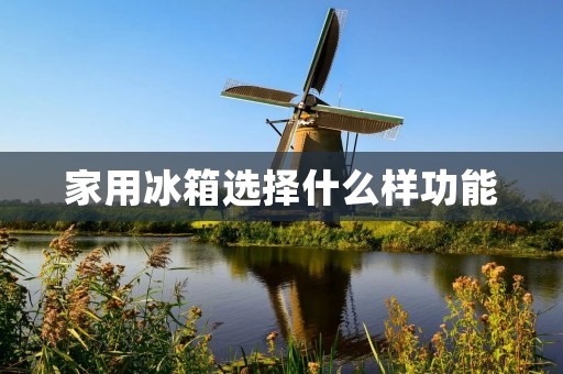 家用冰箱选择什么样功能