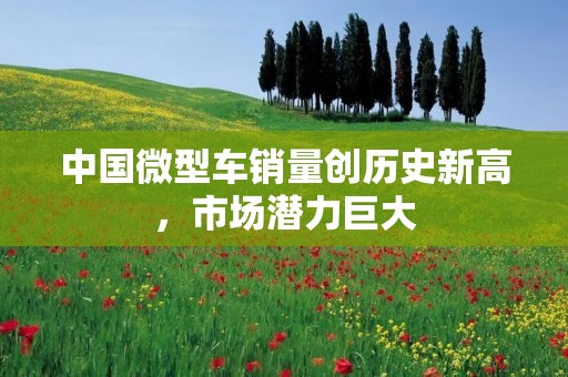 中国微型车销量创历史新高,市场潜力巨大 中国微型车销量创历史新高,市场潜力巨大