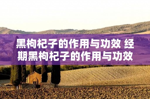 黑枸杞子的作用与功效 经期黑枸杞子的作用与功效