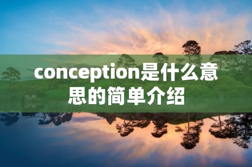 conception是什么意思的简单介绍