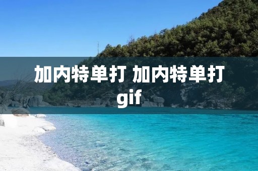 加内特单打 加内特单打gif 加内特单打 加内特单打gif
