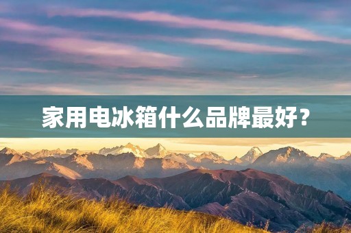 家用电冰箱什么品牌最好？