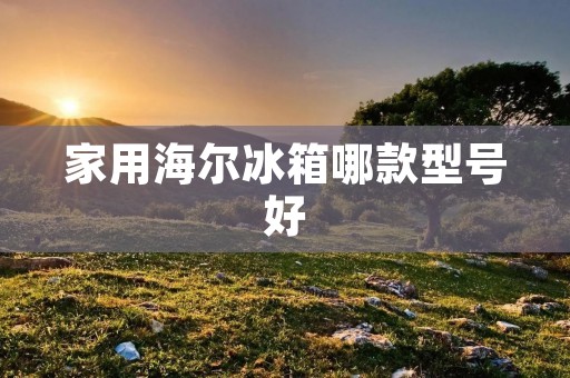 家用海尔冰箱哪款型号好