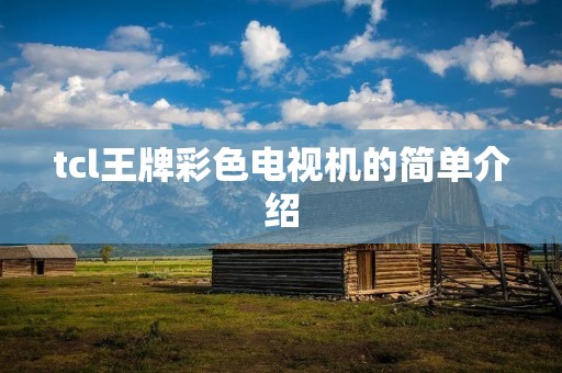 tcl王牌彩色电视机的简单介绍