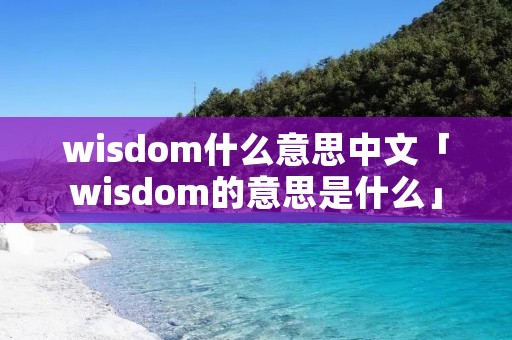 wisdom什么意思中文「wisdom的意思是什么」