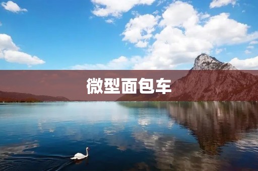 微型面包车：小巧灵活的商用工具