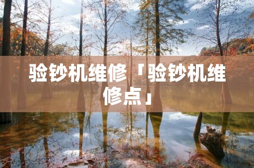 验钞机维修「验钞机维修点」
