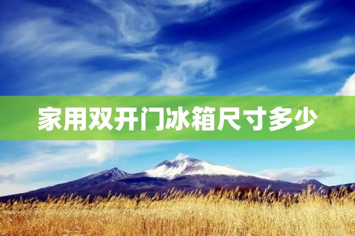 家用**门冰箱尺寸多少