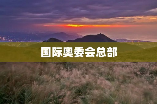国际奥委会总部:见证奥林匹克运动的辉煌 国际奥委会总部:见证奥林匹克运动的辉煌