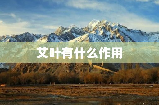 艾叶有什么作用