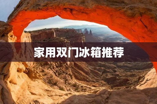 家用双门冰箱推荐:哪个牌子性价比更高? 家用双门冰箱推荐:哪个牌子性价比更高?