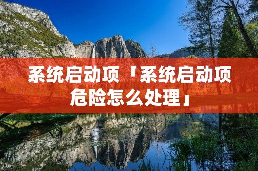 系统启动项「系统启动项危险怎么处理」