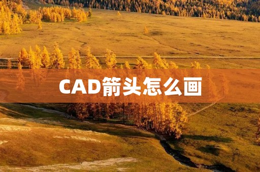CAD箭头怎么画