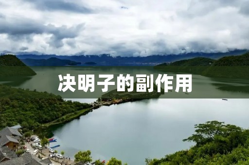 决明子的副作用：了解决明子对人体的影响