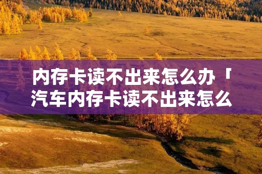 内存卡读不出来怎么办「汽车内存卡读不出来怎么办」