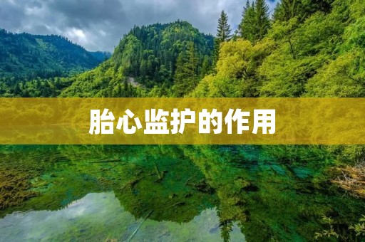 胎心监护的作用:保障胎儿健康的重要手段