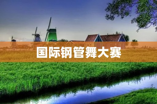 国际钢管舞大赛:舞出**与魅力的盛宴 国际钢管舞大赛:舞出**与魅力的盛宴