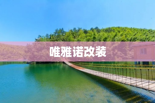 唯雅诺改装：为你的座驾注入个性与风采