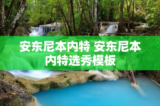 安东尼本内特 安东尼本内特选秀模板