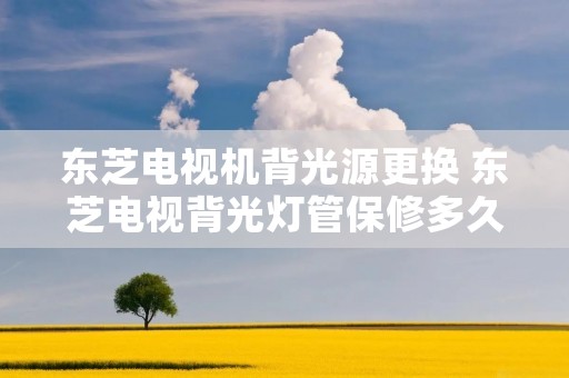 东芝电视机背光源更换 东芝电视背光灯管保修多久