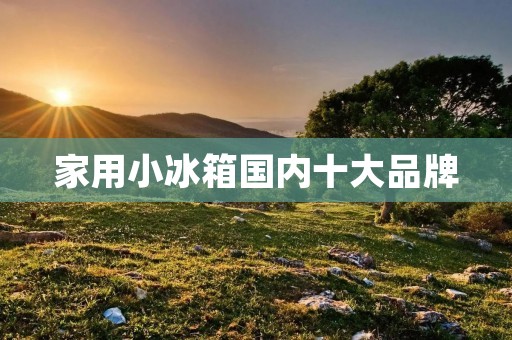 家用小冰箱国内十大品牌:为你推荐最适合家庭使用的冰箱 家用小冰箱国内十大品牌:为你推荐最适合家庭使用的冰箱