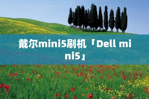 戴尔mini5刷机「Dell mini5」