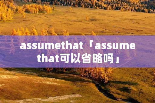 assumethat「assumethat可以省略吗」
