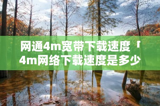 网通4m宽带****「4m网络****是多少」