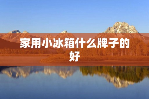 家用小冰箱什么牌子的好