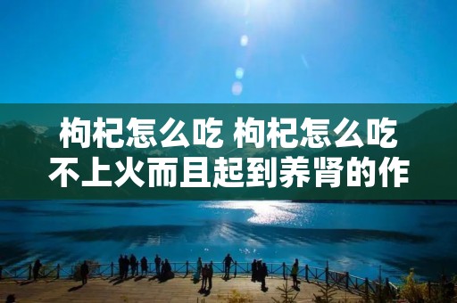 枸杞怎么吃 枸杞怎么吃不上火而且起到养肾的作用