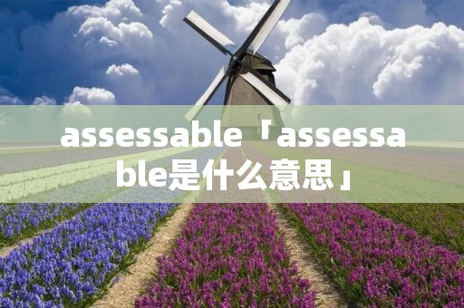 assessable「assessable是什么意思」