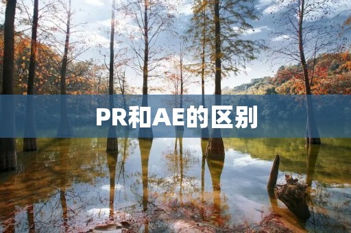 PR和AE的区别