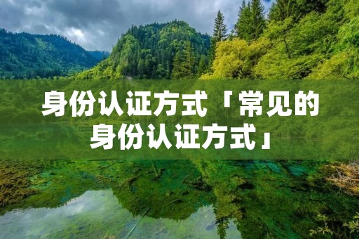 身份认证方式「常见的身份认证方式」