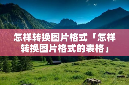 怎样转换图片格式「怎样转换图片格式的表格」