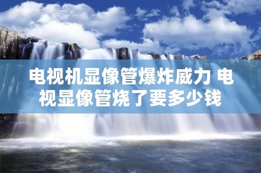 电视机显像管爆炸威力 电视显像管烧了要多少钱