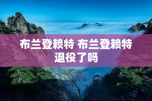 布兰登赖特 布兰登赖特退役了吗