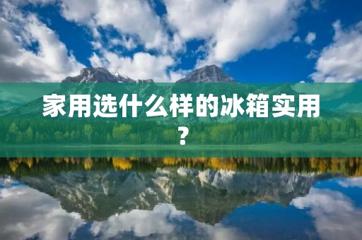 家用选什么样的冰箱实用? 家用选什么样的冰箱实用?