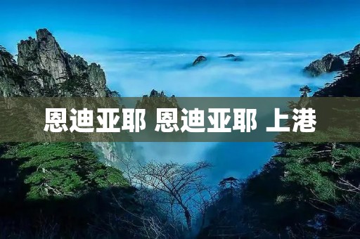 恩迪亚耶 恩迪亚耶 上港