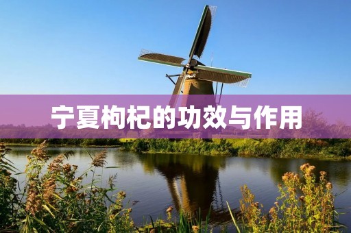宁夏枸杞的功效与作用