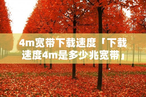 4m宽带下载速度「下载速度4m是多少兆宽带」