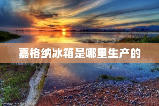 嘉格纳冰箱是哪里生产的 嘉格纳冰箱是哪里生产的