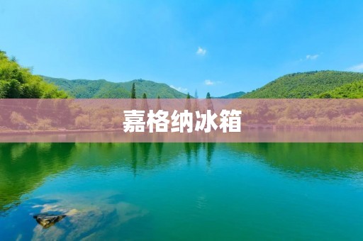 嘉格纳冰箱：为何价格高昂？