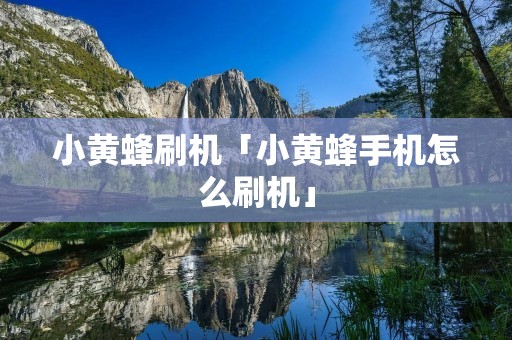 小黄蜂刷机「小黄蜂手机怎么刷机」 小黄蜂刷机「小黄蜂手机怎么刷机」