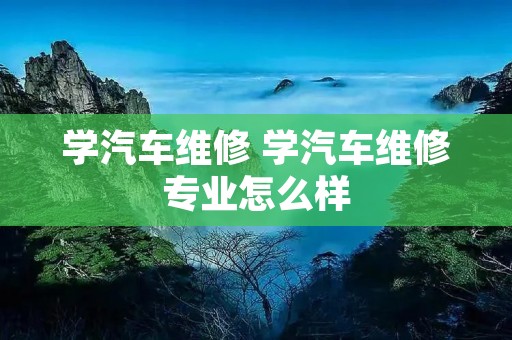 学汽车维修 学汽车维修专业怎么样 学汽车维修 学汽车维修专业怎么样