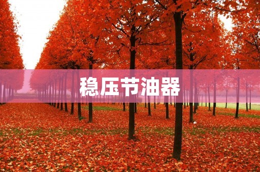 稳压节油器:提升汽车性能的利器 稳压节油器:提升汽车性能的利器