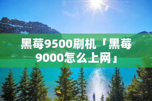 黑莓9500刷机「黑莓9000怎么上网」 黑莓9500刷机「黑莓9000怎么上网」